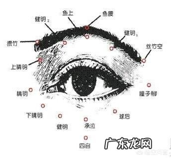 请问,什么眼霜可以促进眼部血液循环