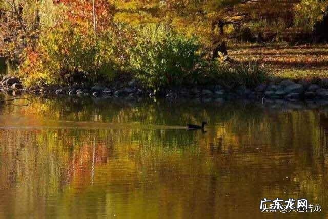 一次次把自己揉碎了重塑是什么感觉