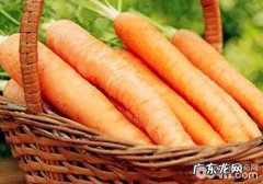 【美食攻略】克己猫咪的胡萝卜鸡肉菜饭