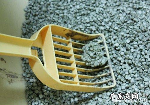 猫砂用哪种比较好?