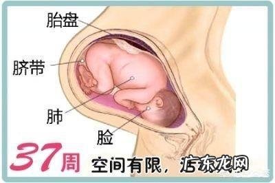 孕32周，胎儿偏小两周，怎么补胎呢？