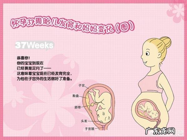 孕32周，胎儿偏小两周，怎么补胎呢？