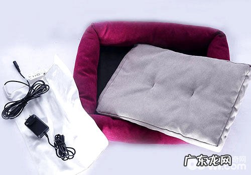 爱猫必备的宠物用品有哪些?