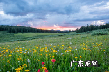 万相台怎么控制出价？如何投放？