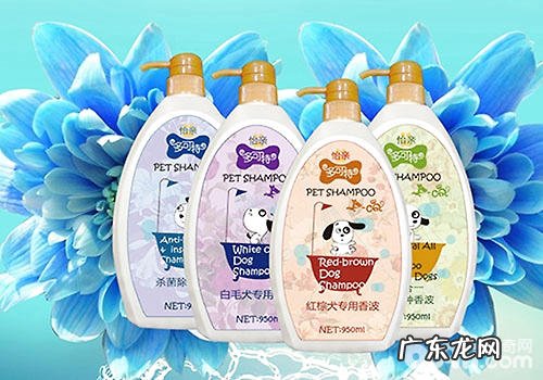 猫咪洗澡沐浴露怎样挑选?有哪些注意事项?