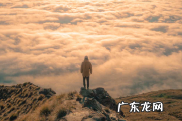 万相台能不能带来免费流量？有什么用？