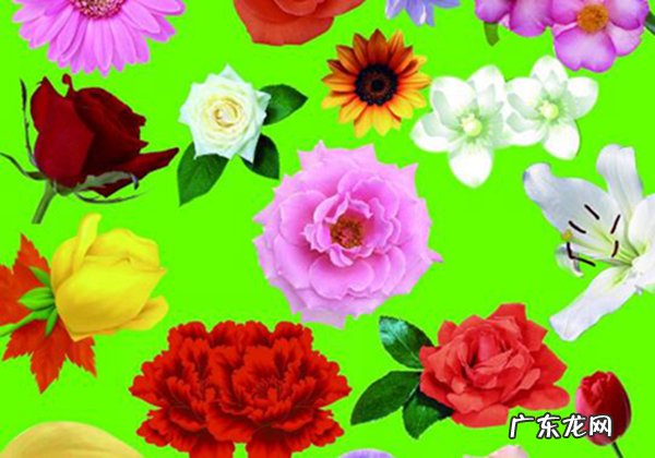 送女性朋友礼物排行榜 生日送给母亲十佳礼物:保健护肤品上榜