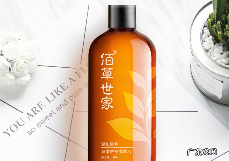 袋鼠洗发水含硅油吗 全球超好用的十大洗发水盘点:袋鼠洗发水第7