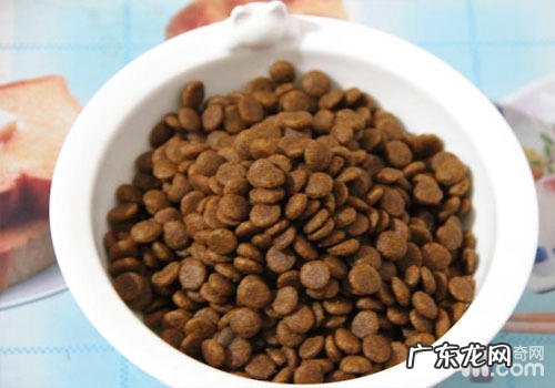 猫粮挑选时需看清成分