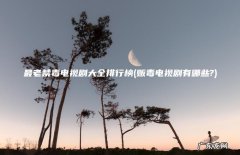 贩毒电视剧有哪些? 最老禁毒电视剧大全排行榜