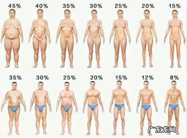 当前,最有效的减脂方式是什么?