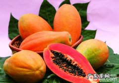 【美食攻略】克己猫咪的鹌鹑海鱼木瓜饭