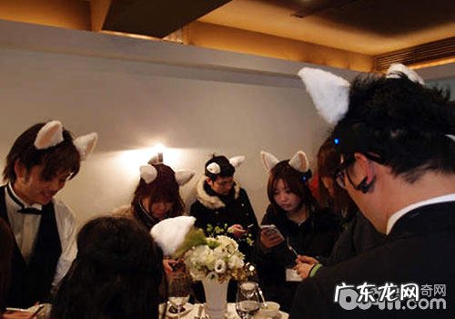 猫咪日:尽管文明不同,但咱们都爱猫