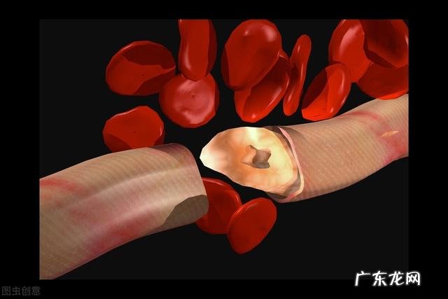 每天到底吃多少，才能减肥？