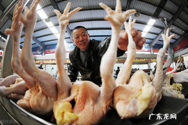 每天到底吃多少，才能减肥？