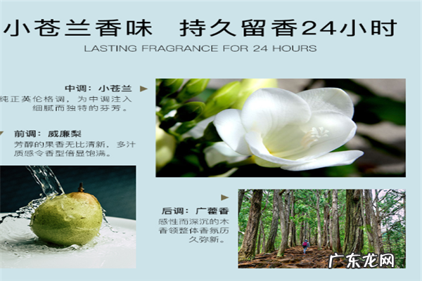 男士推荐的10款洗发水 口碑最好的男士洗发水