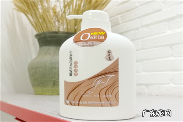 男士推荐的10款洗发水 口碑最好的男士洗发水