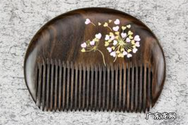 红豆丝和沉贵宝梳子哪个好 女士梳子最好品牌排行