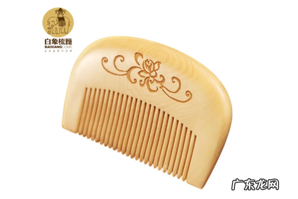 红豆丝和沉贵宝梳子哪个好 女士梳子最好品牌排行