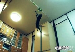 猫咪具有无与伦比的跳动才能？