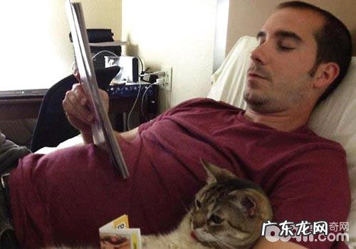 养猫的人比养狗的人更聪明?