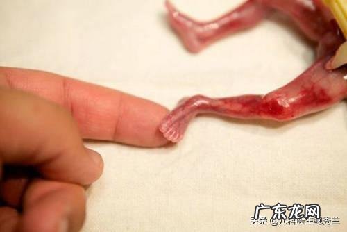 如何做好宝宝佝偻病的预防和护理?