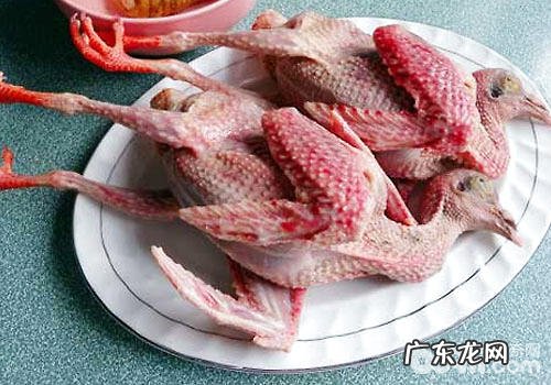 【美食攻略】克己猫咪的鸽子牛肉南瓜饭
