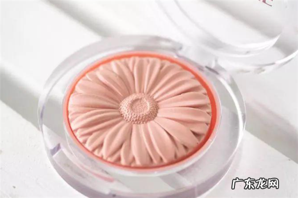 口红品牌及价格表 腮红排行榜前十名