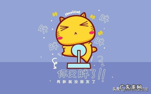 减肥成功的人都是怎么瘦的？对于瘦的人如何胖一点？