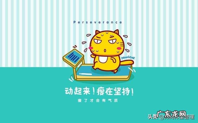 减肥成功的人都是怎么瘦的？对于瘦的人如何胖一点？