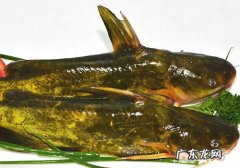 【美食攻略】克己猫咪的黄骨鱼鸭心饭