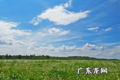 淘宝直通车竞价是什么意思？如何理解？