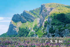 淘宝直通车收费贵吗？太贵了怎么办？