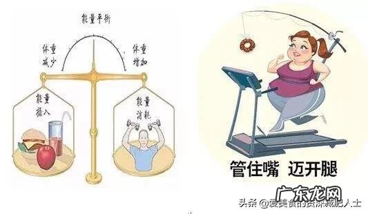 穴位减肥、运动减肥、节食减肥、药物减肥哪种更健康有效?