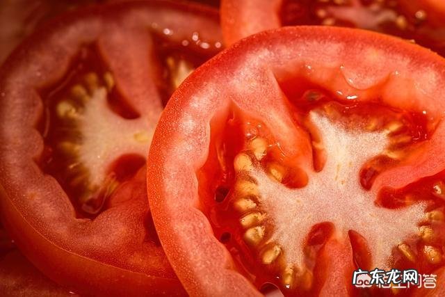 减肥期间粥和饭哪个饱腹感更强，怎样挑选适合自己的主食？