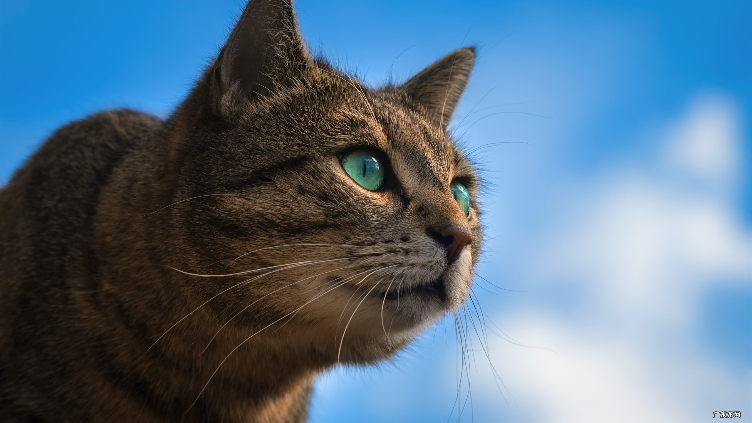 运动后喝水恶心想吐 运动后口干喝水想呕吐为什么?