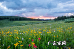 淘宝商品下架属于什么问题？如何解决？