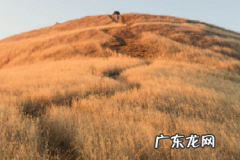 淘宝直通车怎么收费的？点击一次多少钱？