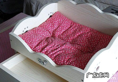 新式猫床:不仅仅是一张床?