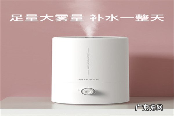 飞利浦净化加湿器使用说明 空气净化加湿器十大排名:第4来自飞利浦