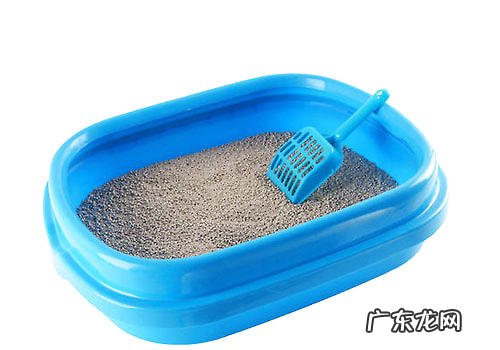 新式猫砂盆:猫咪的奢华马桶?