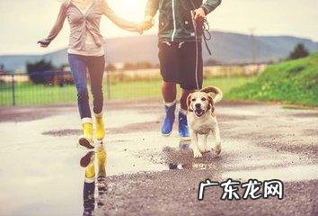 来说一说用app成功瘦身的经验吧!大家都用什么app?