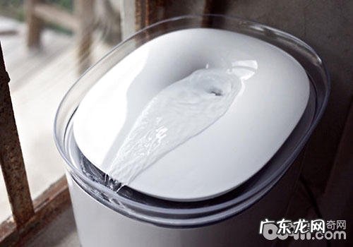 冬季怎么让猫咪纵情喝水