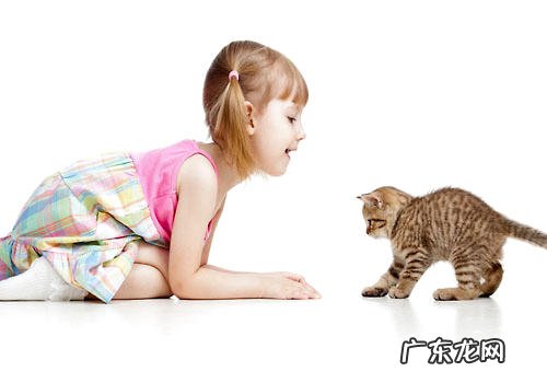 猫咪为什么和人接近?