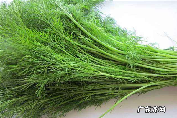 十大名贵香料 中国十大香料