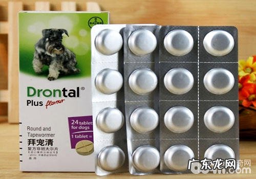 拜耳驱虫药怎样防止副作用?