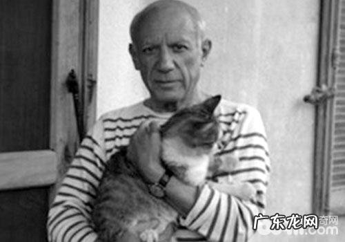 西班牙：猫咪与人相等？