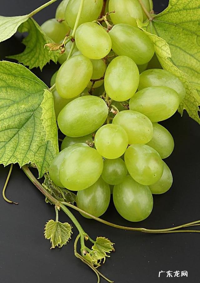 冬天吃什么水果比较好呢？