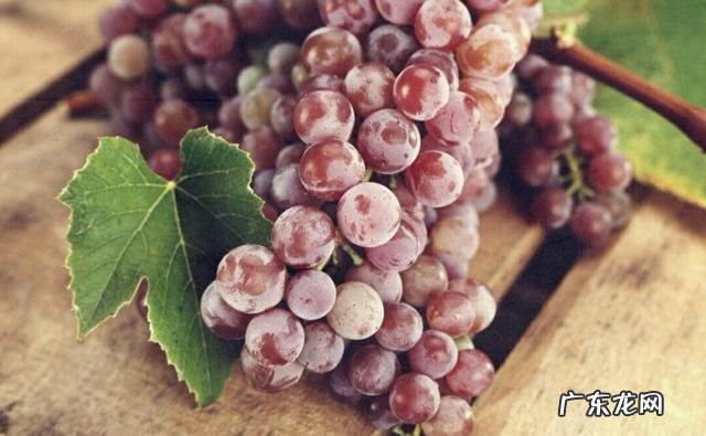 冬天吃什么水果比较好呢？