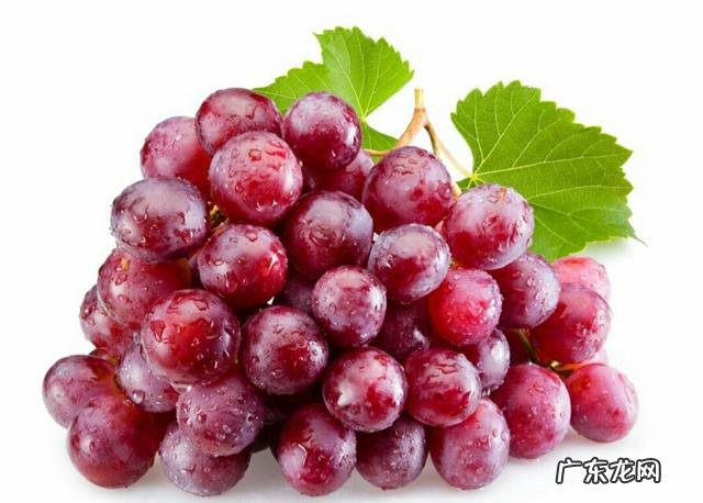 冬天吃什么水果比较好呢？